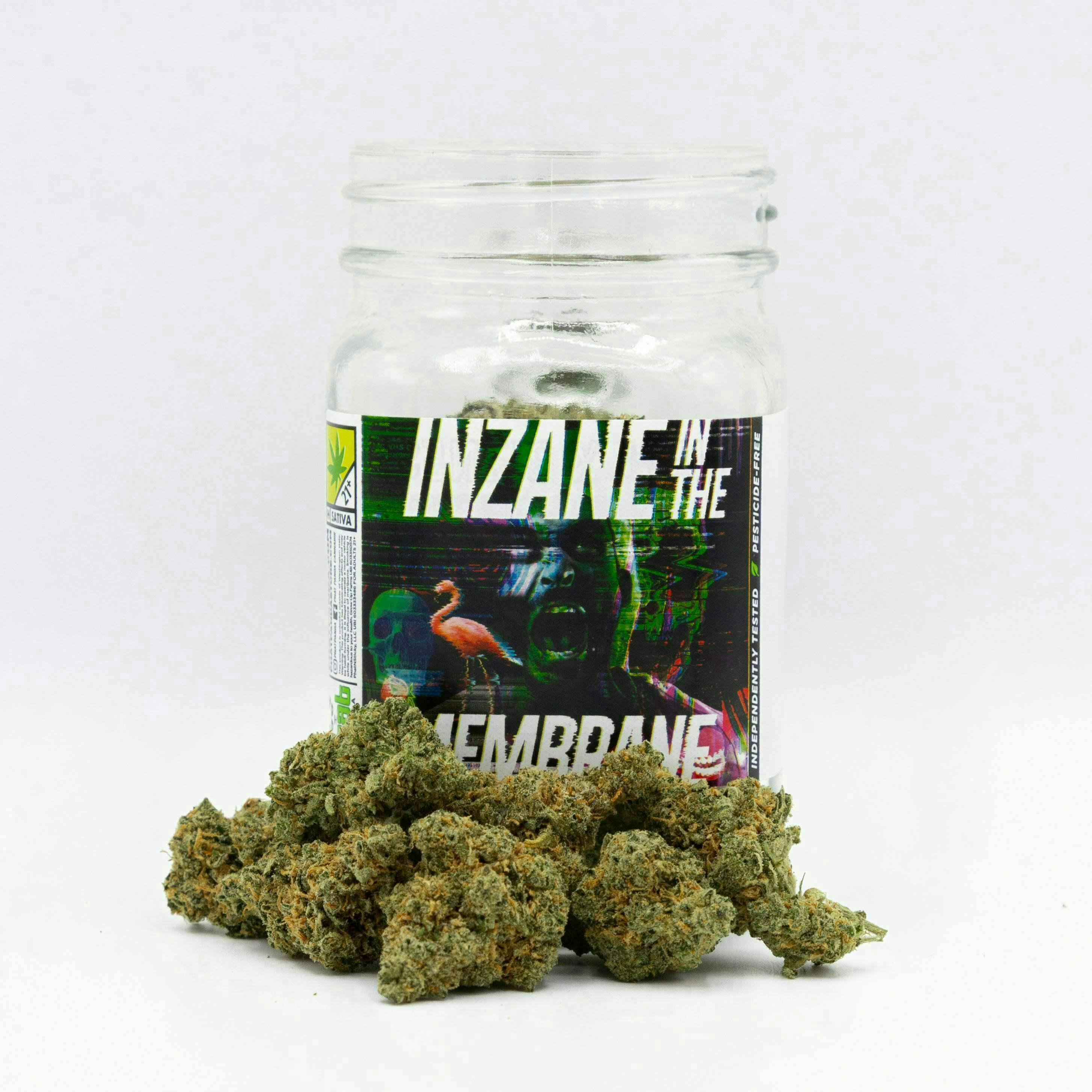 Phat Panda - Inzane in the Membrane | Big Buds - 1