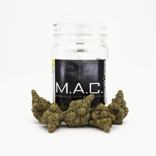Phat Panda - MAC - WA - 1