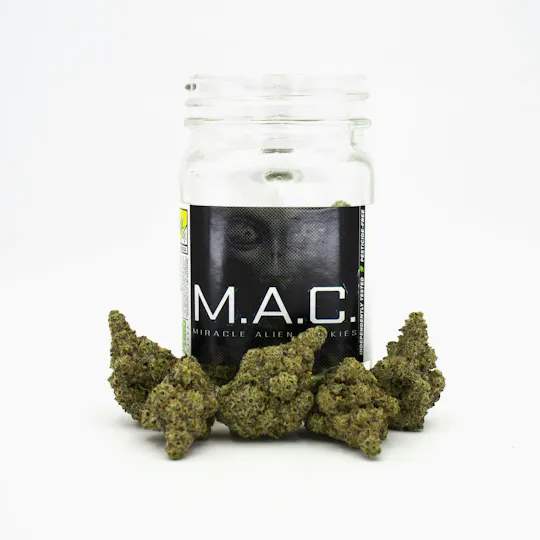 Phat Panda - Phat Panda | MAC | Big Buds - 1