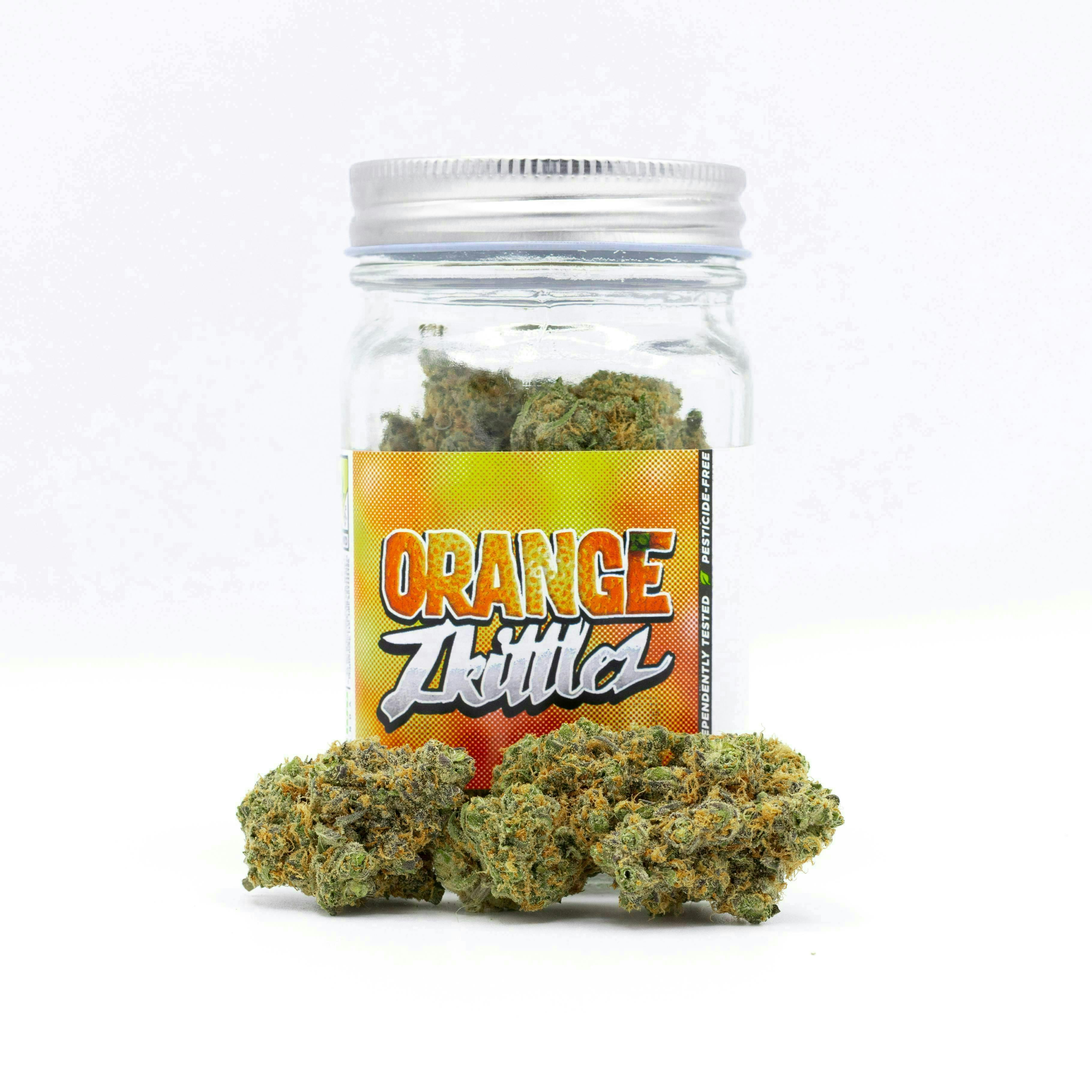 Phat Panda - Orange Zkittlez | Big Buds - 1