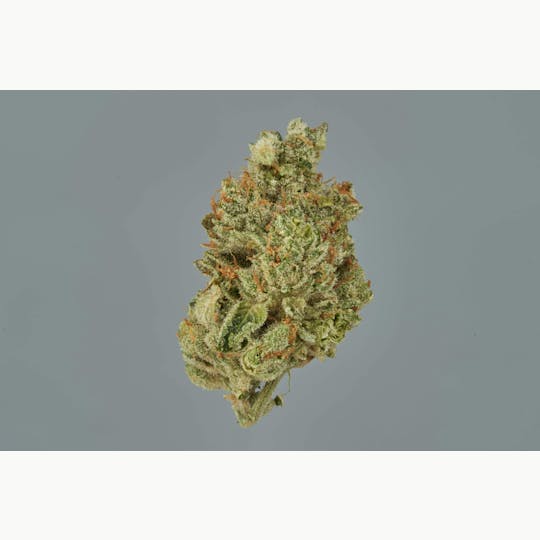 Ripple Wellness - Flower - Tier 3 - Gummy Buns #2 - 1