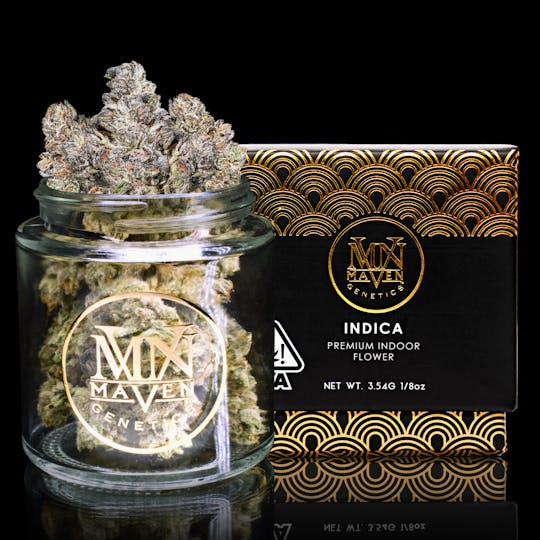 Maven Genetics - Black Diamond X - 1