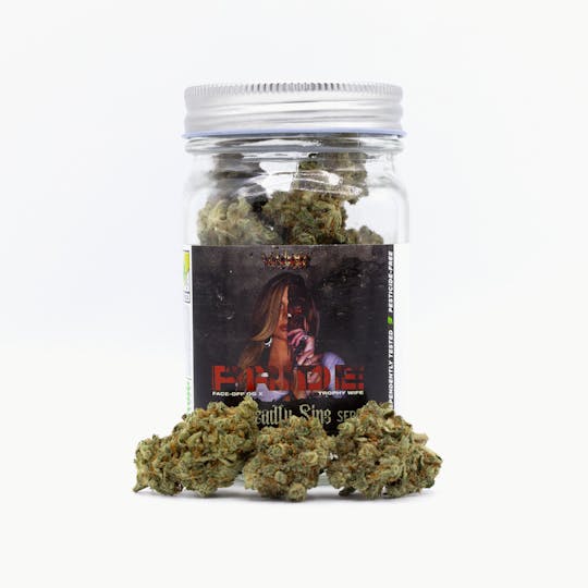 Phat Panda - Pride - WA - 1