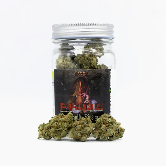 Phat Panda - Phat Panda | Pride | Big Buds - 1