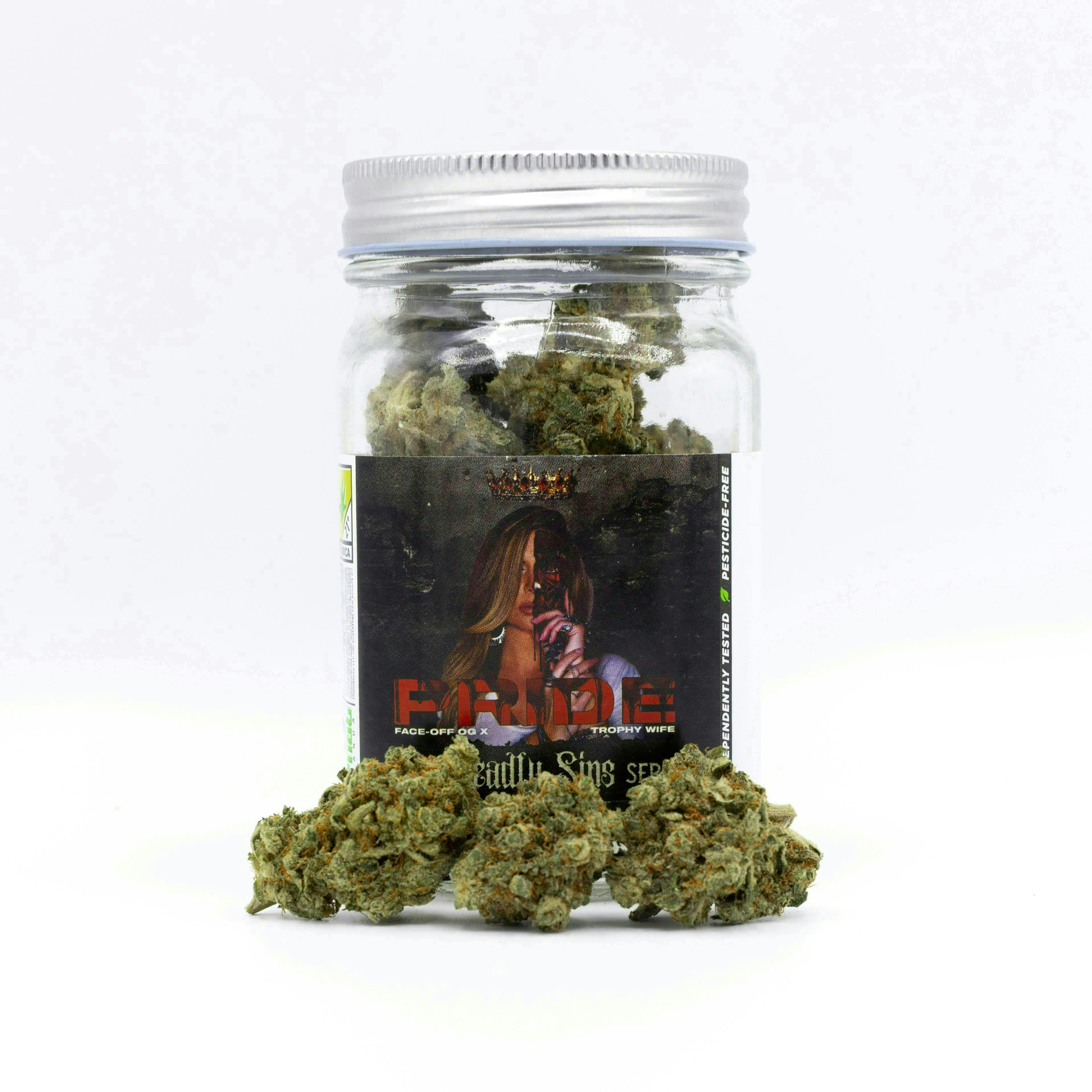 Phat Panda - Pride | Big Buds - 1