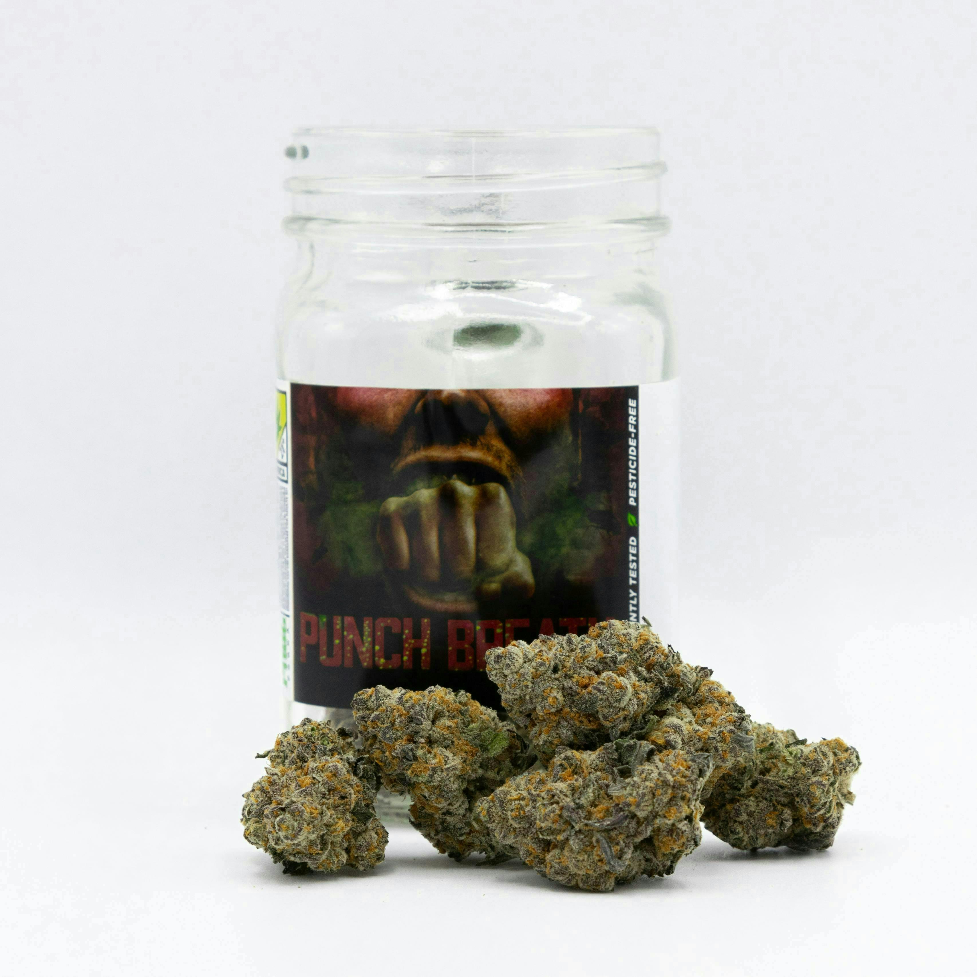 Phat Panda - Phat Panda | Punch Breath | Big Buds - 1