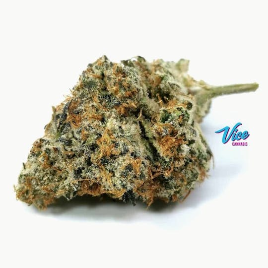 Vice Cannabis - Gelato Mint: King Size Pre-Roll 1.3g - 1