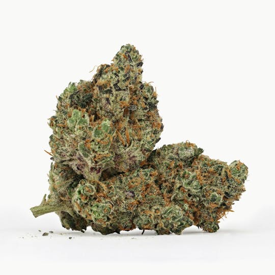 High Grade Farms - Notorious 3.5G - 1