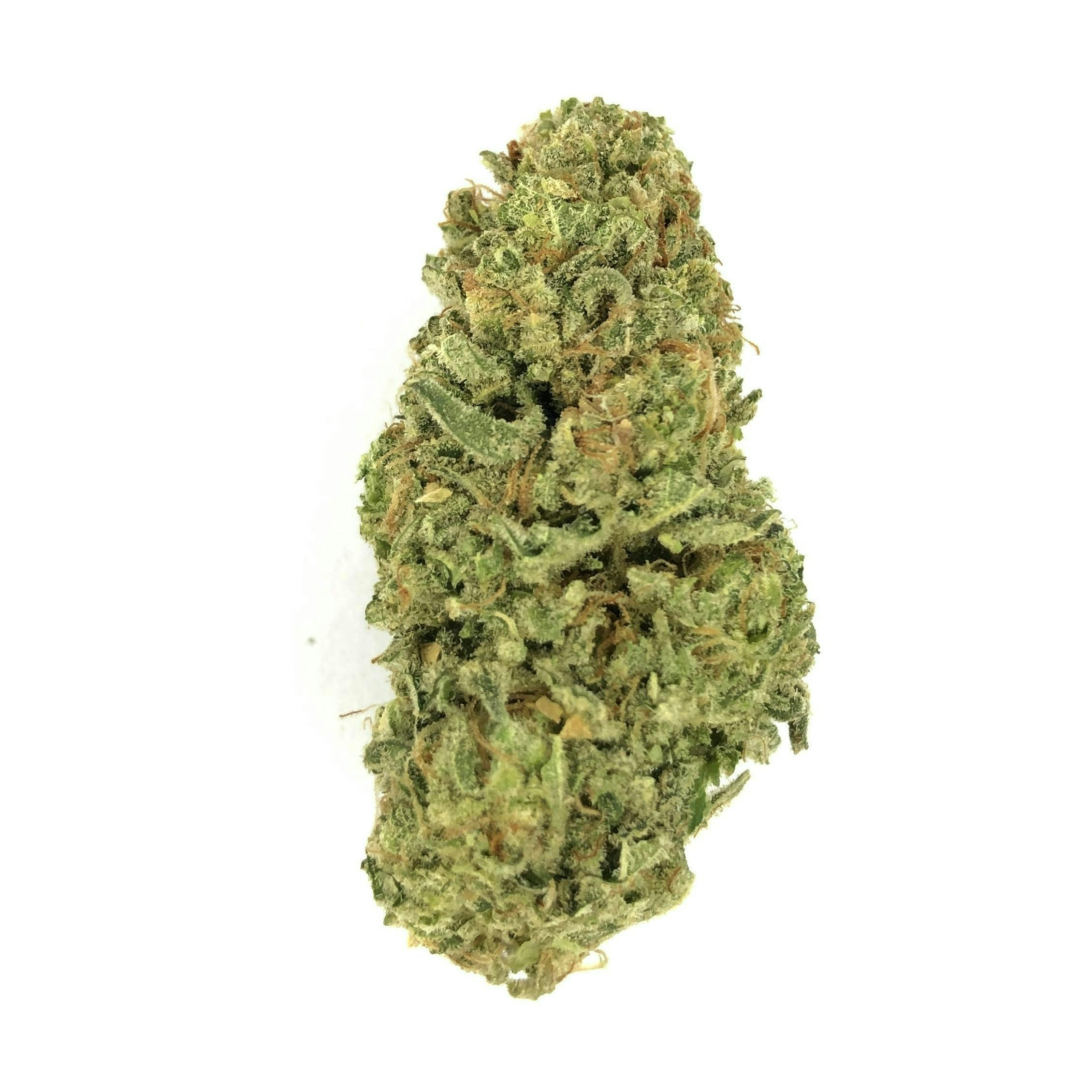 Indico - Grape Stomper - 1