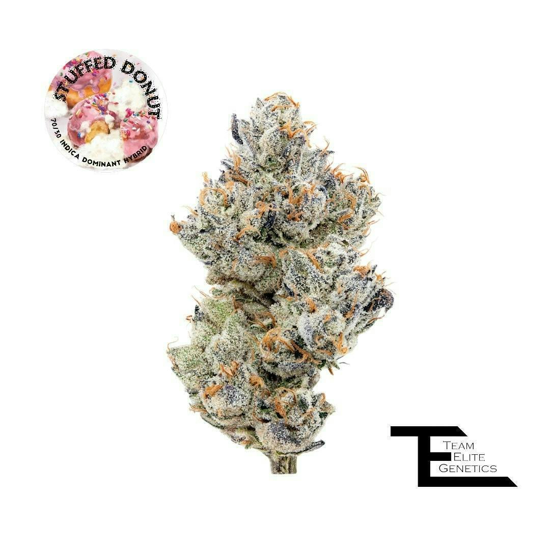 Team Elite Genetics - Stuffed Donut | Big Buds | 3.5g - 1