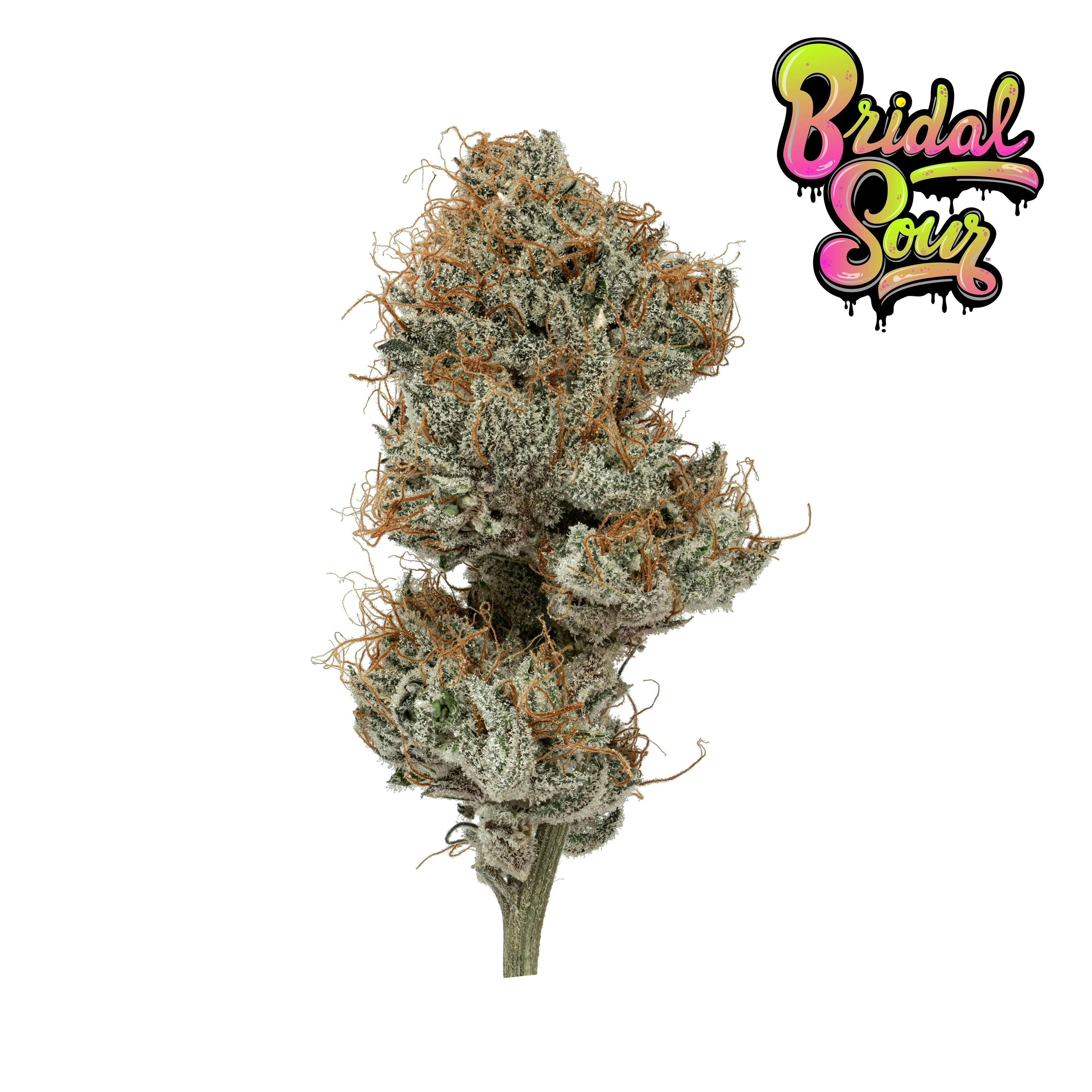 Hazy Hill Farm - Bridal Sour - 1
