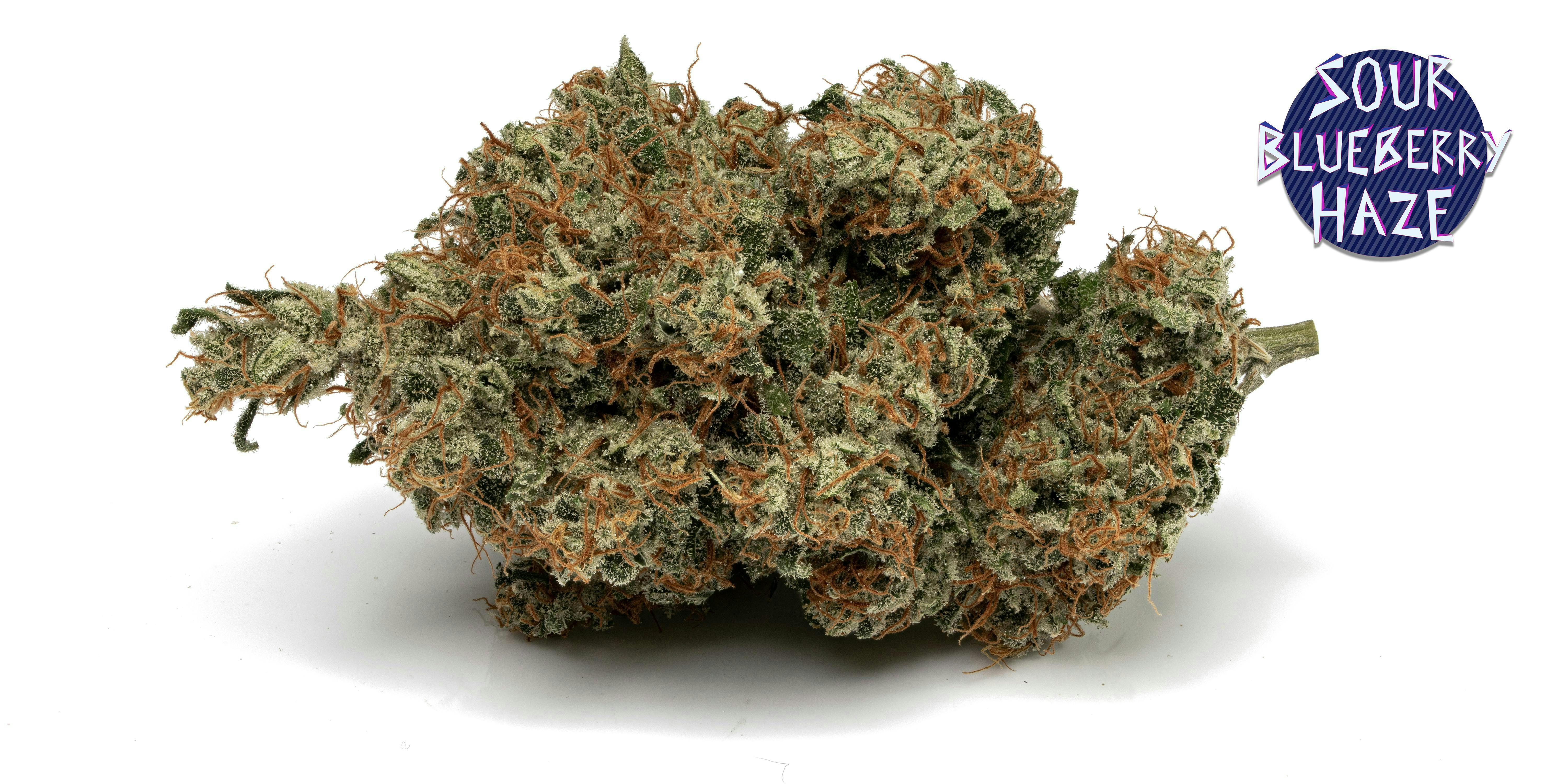 Hazy Hill Farm - Sour Blueberry Haze - 1