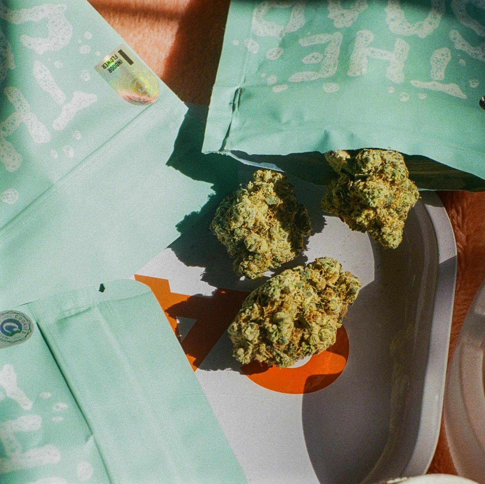 Cookies Michigan - The Soap - 1