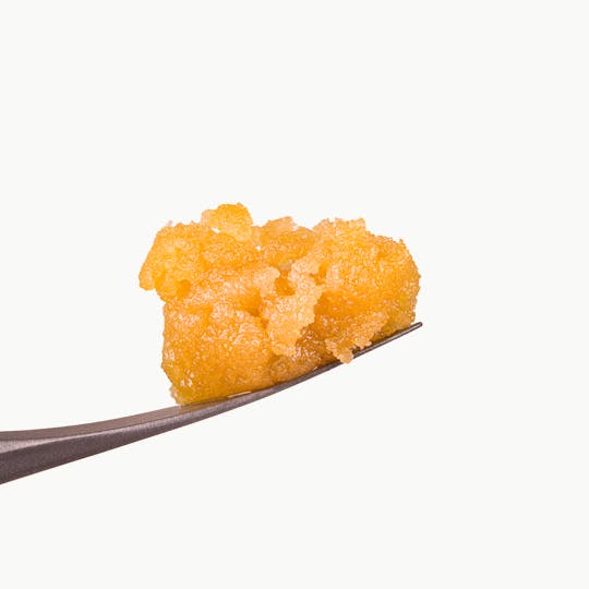 Perfect Ratio - Perfect Ratio - Kitch 22 Live Sugar - 1