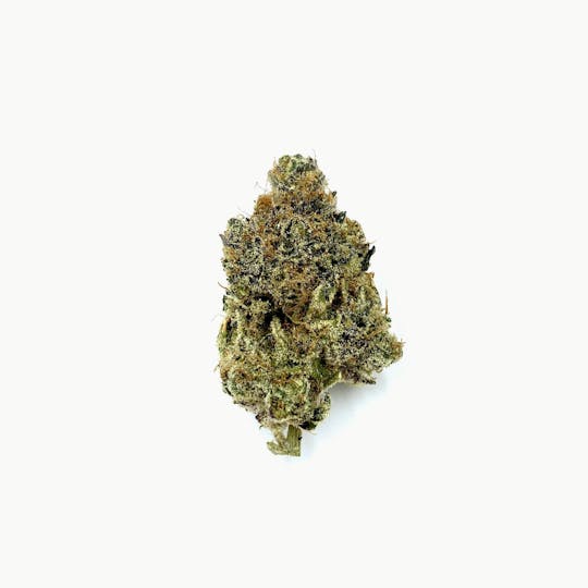 Indico - Lime Bars - 1
