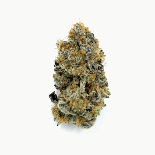 Mainely Dope - Wizard Punch - 1