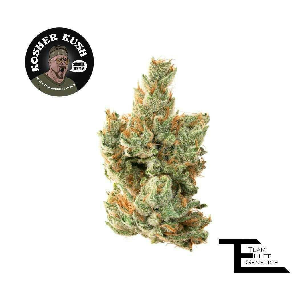 Team Elite Genetics - Kosher Kush | Big Buds | 3.5g - 1