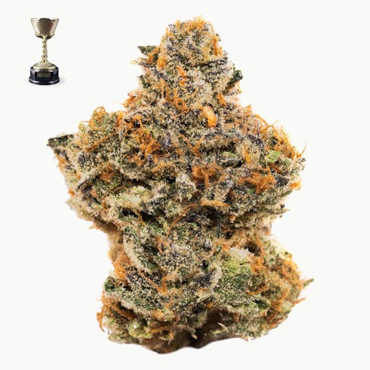Team Elite Genetics - Cookie Dough - 1