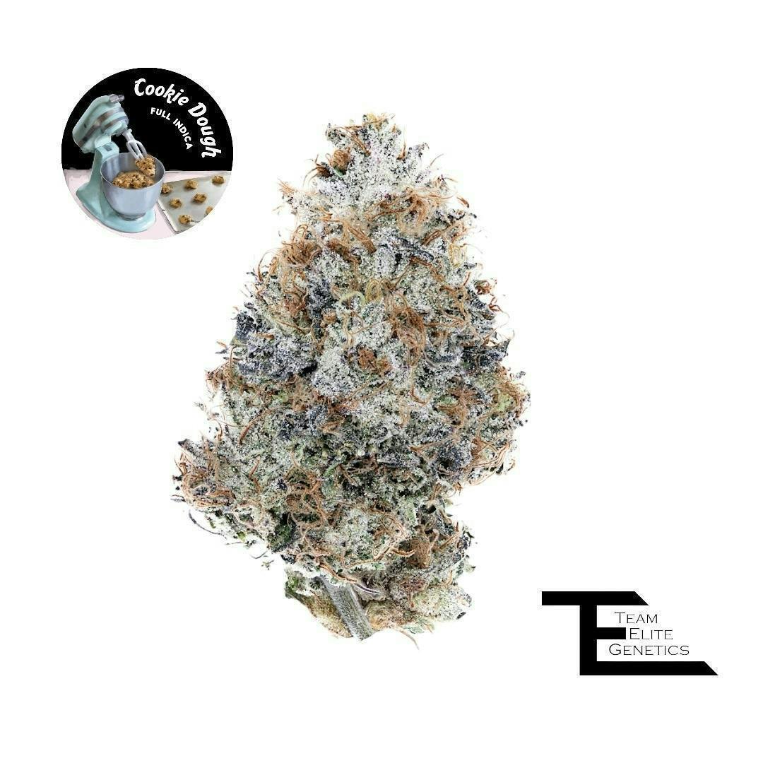 Team Elite Genetics - Cookie Dough | Big Buds | 3.5g - 1