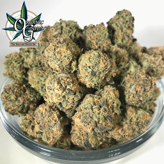 Organic Goods - Bay Dream - 1