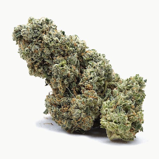 High Tide Organics - Durban Poison | Indoor - 1