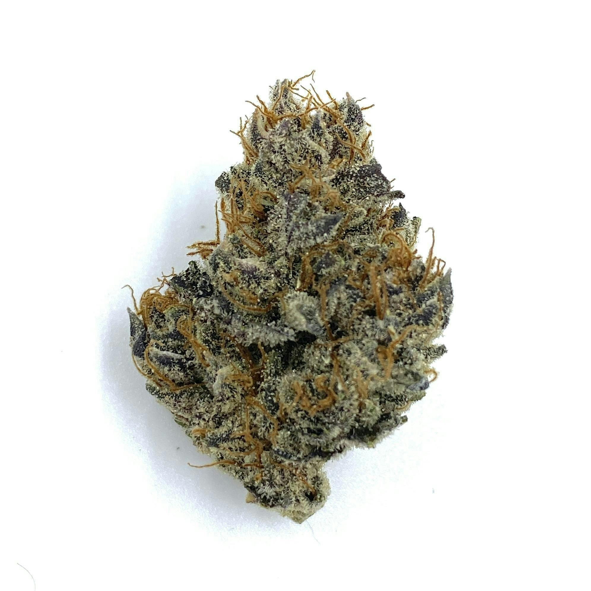 Indico - Orange Hulk - 1