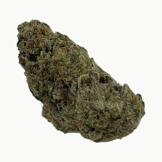 Indico - Mendo Breath - 1