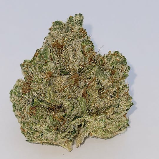Alvarez Cultivation - TK43 - 1