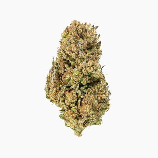 Flow Kana - Zaza by Birds and Stones Farm | Farmer's Reserve - 1