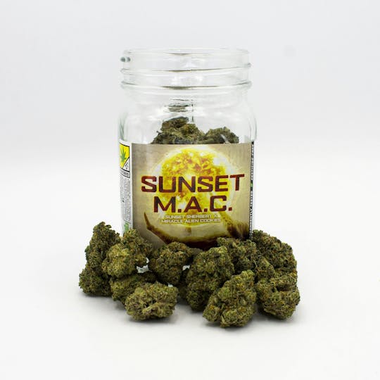 Phat Panda - Sunset MAC - 1