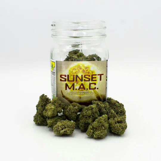 Phat Panda - Phat Panda | Sunset MAC | Big Buds - 1