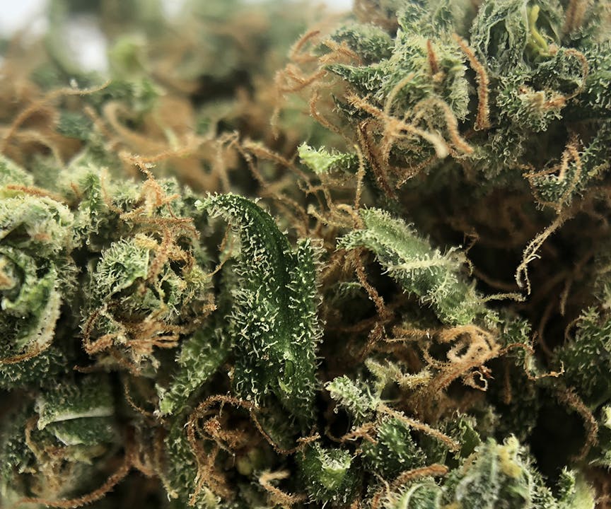 Sweetwater Farms - Huckleberry Pie - 1