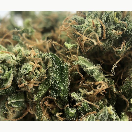 Sweetwater Farms - Huckleberry Pie - 1