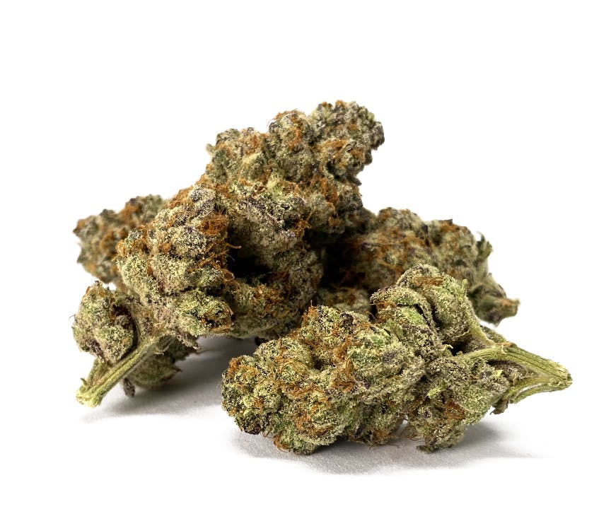 Sweetwater Farms - Animal Cake - 1