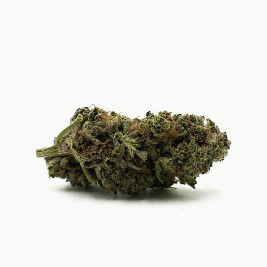 Sweetwater Farms - Gushberry - 1