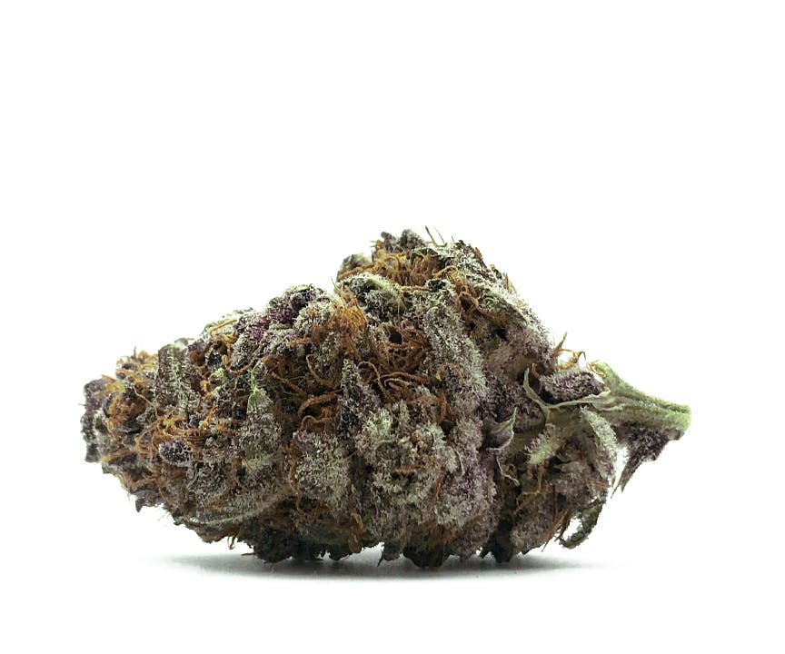 Sweetwater Farms - Pink Gelato - 1