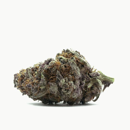 Sweetwater Farms - Pink Gelato - 1