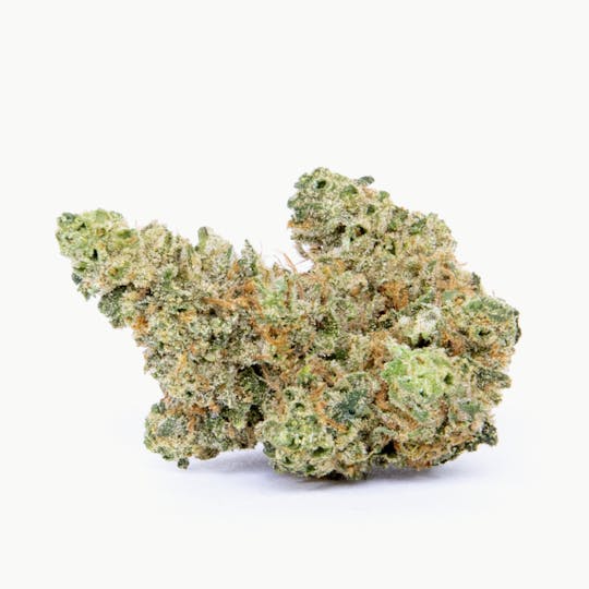 Pure Beauty - Jack #1 | 3.5g Indoor - 1