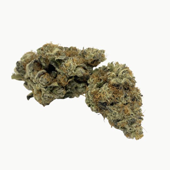 Snaxland - SOAP - 1