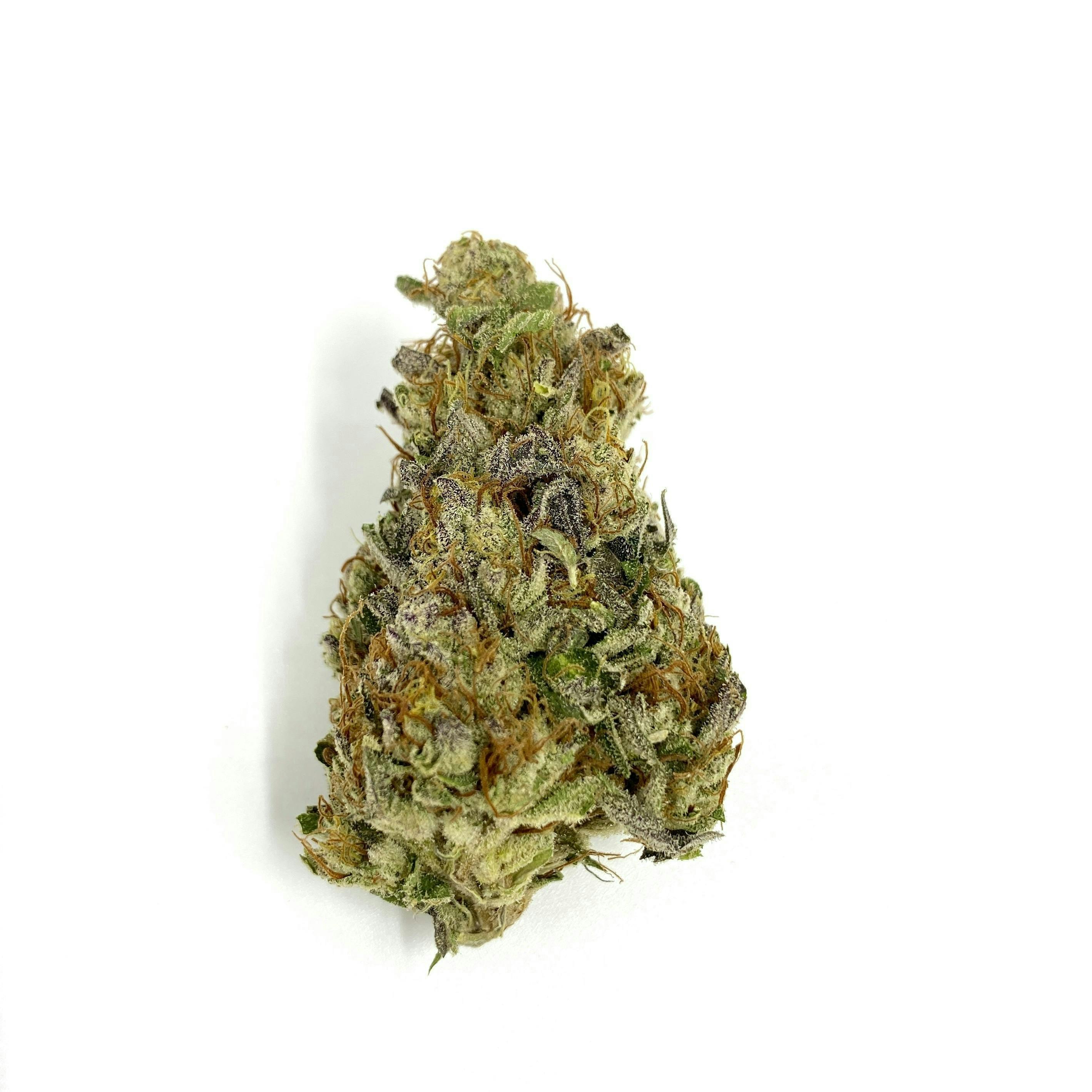 Indico - Wonder Bread - 1