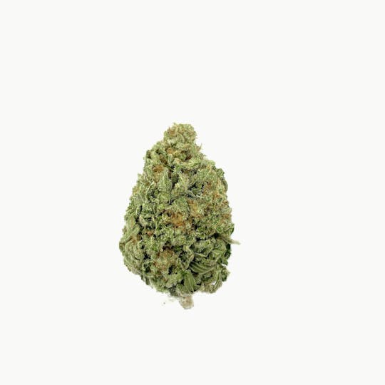 Indico - Haskap #14 - 1