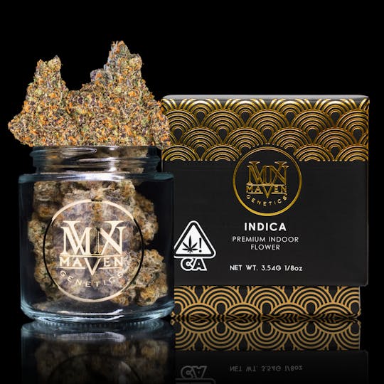 Maven Genetics - Peach Crème Gelato - 1
