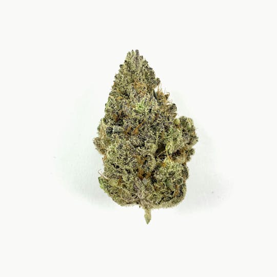 Indico - Grease Monkey - 1
