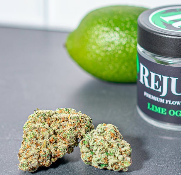 Rejuvenate Canna Co - Rejuvenate | Lime OG | Flower - 1
