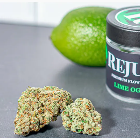 Rejuvenate Canna Co - Rejuvenate | Lime OG | Flower - 1