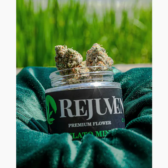 Rejuvenate Canna Co - Rejuvenate | Gelato Mint | Flower - 1