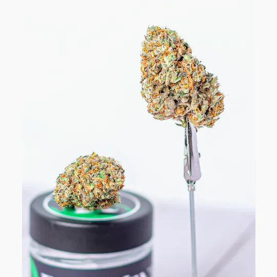 Rejuvenate Canna Co - Rejuvenate | MAC 69 | Flower - 1