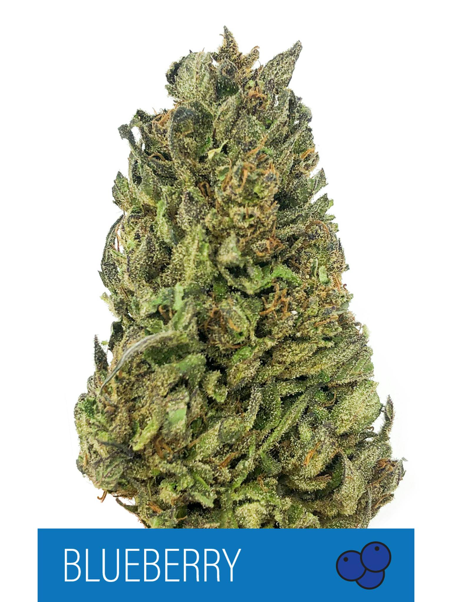 Herbal Remedies of Maine - Blueberry - CBD Flower 17.33% - 1