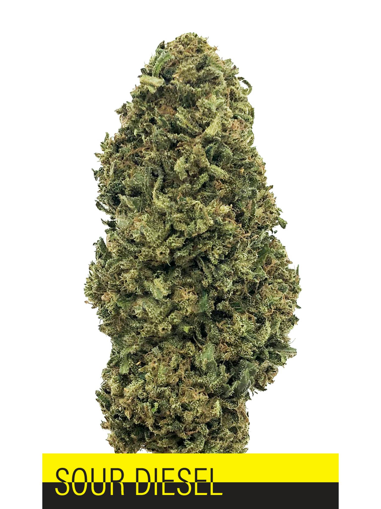 Herbal Remedies of Maine - Sour Diesel- CBD Flower 12.6% - 1