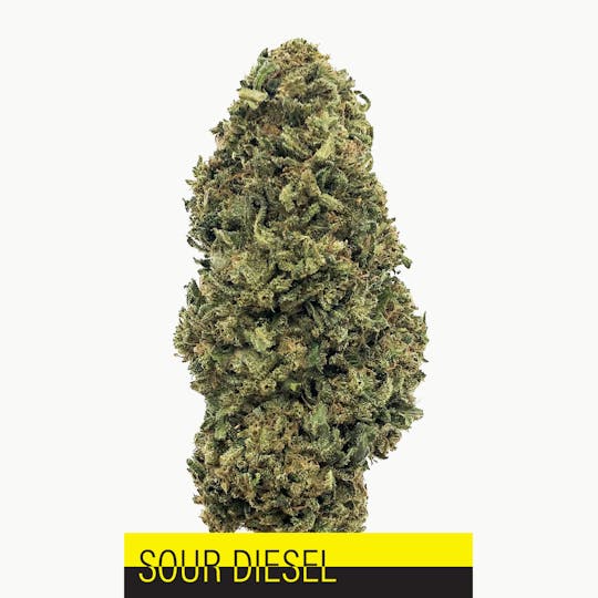 Herbal Remedies of Maine - Sour Diesel- CBD Flower 12.6% - 1
